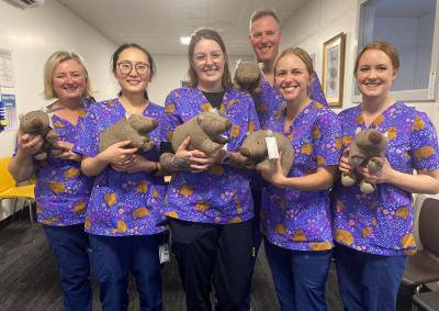 Wombat Ward staff in new scrubs.