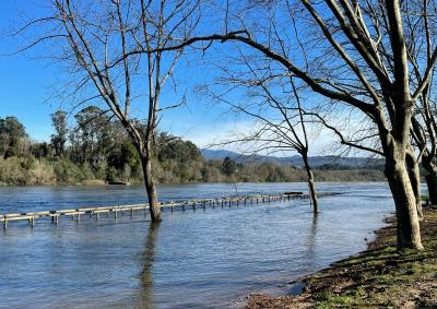 Water quality warning.