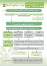 Thumbnail image of the goals of care plan flow chart.