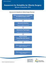 Thumbnail image for obesity surgery flowchart