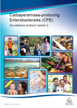 Download the Carbapenemase-producing Enterobacterales (CPE) (PDF)