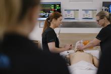 Allied Health professionals demonstrating a procedure