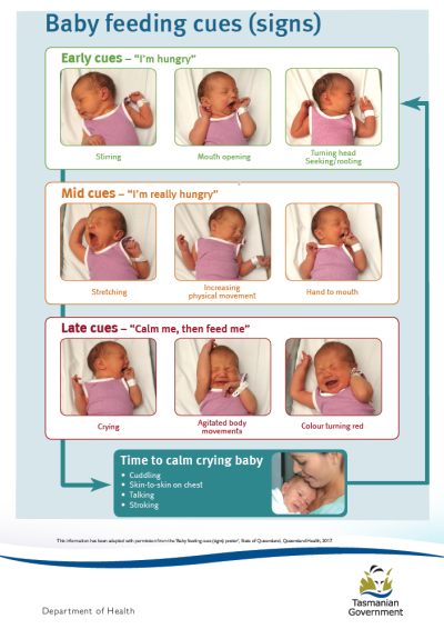 Baby Feeding Cues Poster | Tasmanian Department Of Health