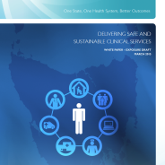 Thumbnail image of the report for Delivering Safe and Sustainable Clinical Services 