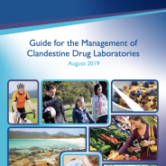 Thumbnail image of the guide for the management of clandestine drug laboratories document