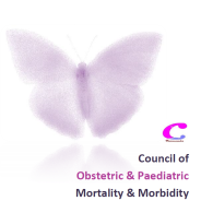 Thumbnail image for Council of Obstetric and Paediatric Mortality and Morbidity (COPMM) 2015 Annual Report