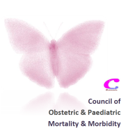 Thumbnail image for Council of Obstetric and Paediatric Mortality and Morbidity (COPMM) 2018 Annual Report