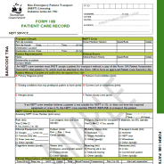 Thumbnail for sample patient care record (Form 10B)