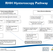 Thumbnail image for hysteroscopy pathway