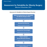 Thumbnail image for obesity surgery flowchart