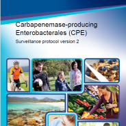 Download the Carbapenemase-producing Enterobacterales (CPE) (PDF)