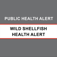 Do not eat wild shellfish Wild shellfish alert icon