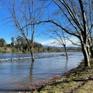 Water quality warning.